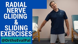 Radial Nerve GlidingSliding Exercises [upl. by Daffie]