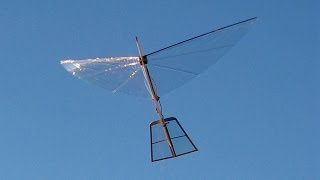 Servo Powered Ornithopter  S1 Robotic Bird  Build from Easy DIY Kit [upl. by Iow]