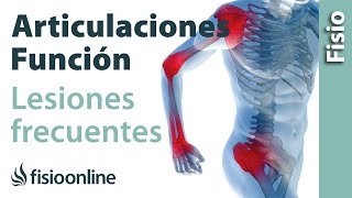 Flexión y extensión de rodilla [upl. by Akihsan]