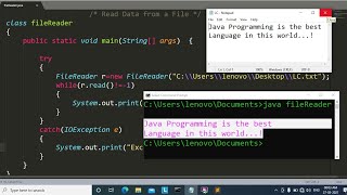 java program to read a text from file  Learn Coding [upl. by Neehsuan497]