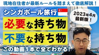 【2023年版】シンガポール旅行が10倍楽しめる持ち物チェックリスト [upl. by Nofets]