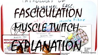 Muscle Twitch  Fasciculation Pathophysiology EXPLAINED [upl. by Howlyn]