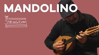 Mandolino [upl. by Nwahsat]