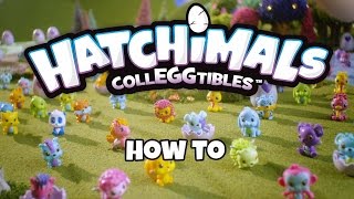 Hatchimals Colleggtibles  How To Video [upl. by Weissman41]