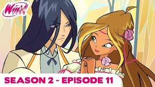 Winx Club  FULL EPISODE  The Monster and the Willow  Season 1 Episode 11 [upl. by Tartaglia]