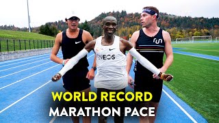 Running the Kipchoge Challenge World Record Marathon Pace with Zach Levet [upl. by Towroy36]