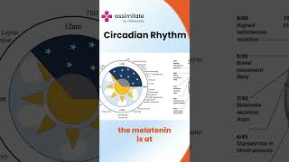 Circadian Rhythm  Medvarsity [upl. by Richie112]