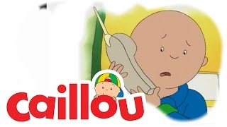 Caillou  Caillous Cross Word S02E19  Cartoon for Kids [upl. by Genni]