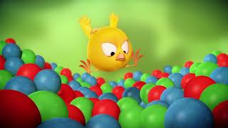 Wheres Chicky  BALL POOL  Chicky Cartoon in English for Kids [upl. by Strade940]