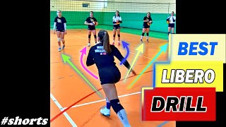 THE BEST LIBERO DRILL Improve Volleyball Defense [upl. by Nryhtak]