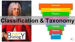 Classification and Taxonomy [upl. by Barb]