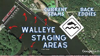 Walleye Staging Locations at a Lock and Dam  Locating Mississippi River Spring Run Walleye [upl. by Nyliuqcaj]