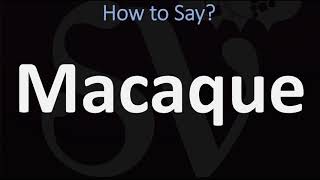 How to Pronounce Macaque CORRECTLY [upl. by Yelak]