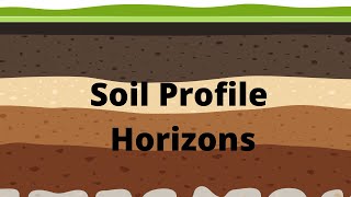 Soil Profile and Soil Horizons [upl. by Rhetta]