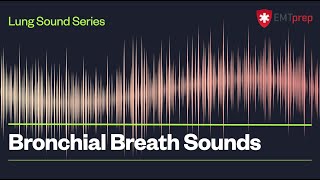 Bronchial Breath Sounds  EMTprepcom [upl. by Akkeber]