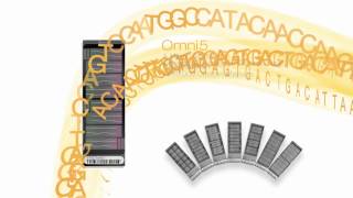 Illumina Arrays NextGen GWAS Now [upl. by Rehteh60]