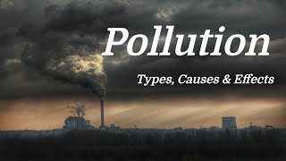 Pollution Mini Documentary Types  Causes  Effects [upl. by Newsom443]