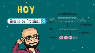 Síntesis de proteínas [upl. by Adle]