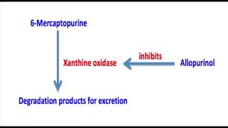 When do I use Allopurinol [upl. by Eidok]