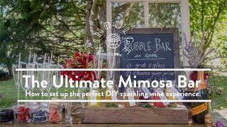 The Ultimate DIY Mimosa Bar [upl. by Ganley185]