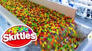 10 Skittles Facts That You Never Realized [upl. by Lacim997]