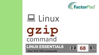 Linux gzip command summary with examples [upl. by Anima223]