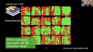 Spatial Interaction Networks in Microbial Communities  Alma Dal Co [upl. by Binny]