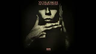 The TEARDROP EXPLODES – Wilder – 1981 – Full album – Vinyl [upl. by Yelekreb]