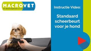 Video Instructie Standaard Scheerbeurt voor je hond [upl. by Durward]