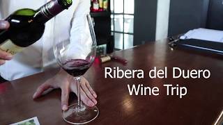 Ribera del Duero Wine Trip [upl. by Aretha707]