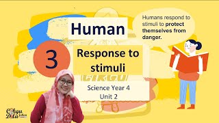 Science Year 4  Human Response to Stimuli [upl. by Mcgaw]