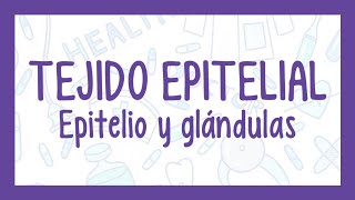 TEJIDO EPITELIAL  ¡Fácil explicación Histología [upl. by Gnahk911]