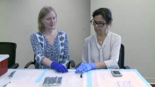 How to Use the Alere Filariasis Test Strip FTSEnglish 04 [upl. by Hilbert]