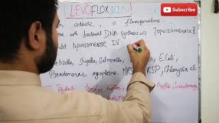 Levofloxacin uses mechanism and side effects [upl. by Lyrehs408]