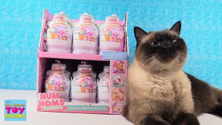 Num Noms Mystery Makeup Surprise Full Set Opening Toy Review  PSToyReviews [upl. by Aicitel]