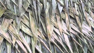 Simple palm weaving techniques [upl. by Arua]