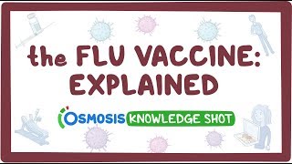 The flu vaccine explained [upl. by Husain]