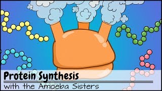 Protein Synthesis Updated [upl. by Anirrehs467]