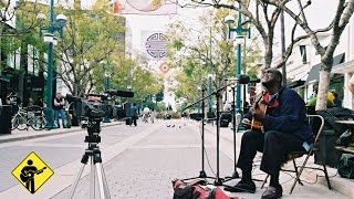 Tears On My Pillow  Roger Ridley  Playing For Change  Live Outside [upl. by Nuriel]