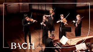 Bach  Orchestral Suite no 3 in D major BWV 1068  Mortensen  Netherlands Bach Society [upl. by Tletski656]