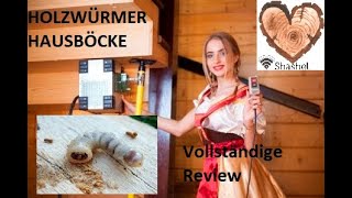 Mikrowellenanlage Shashel gegen HOLZWÜRMER HAUSBÖCKE Vollständige Review [upl. by Anaitsirk]