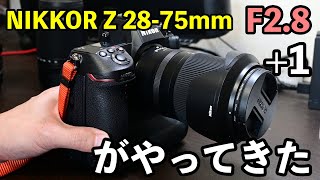 【召喚の儀】〇〇を下取りに出してNIKKOR Z 28−75mm F28と＋１がやってきた [upl. by Htebazle]