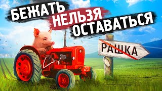 Стоит ли уезжать из страны [upl. by Yelsehc]