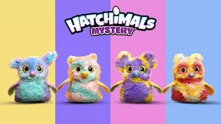 Hatchimals  Hatchimals Mystery  New Fluffy Hatchimals [upl. by Sami435]