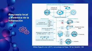 Procesos de la Inflamación [upl. by Babette54]