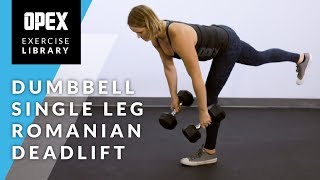 Dumbbell Single Leg Romanian Deadlift  OPEX Exercise Library [upl. by Eirffej]