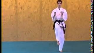 ITF Taekwon Do Patterns  Toi Gae [upl. by Gnilyarg]