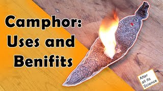 Camphor  Uses and Benefits  After All Its Science  Why do we use camphor [upl. by Yong]