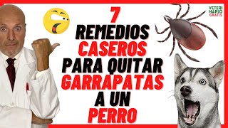 🟢 ¿CÓMO QUITAR Y ELIMINAR GARRAPATAS A UN PERRO CON REMEDIOS CASEROS Y NATURALES 🟢 [upl. by Nilrak141]