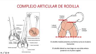 Artrocinemática parte 1 RODAMIENTOS DESLIZAMIENTOS Y ROTACIONES [upl. by Lynch796]